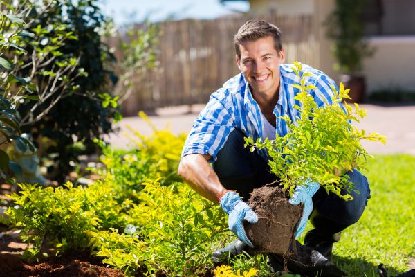 Bush Planting Service in Oconomowoc