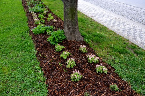 Mulch Replacement Service in Oconomowoc