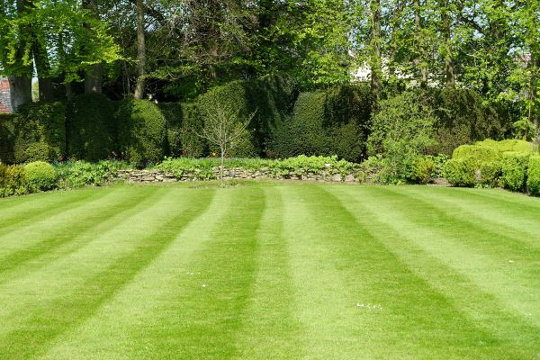 Lawn Renovation in Oconomowoc