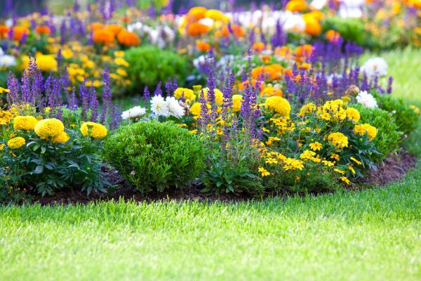 Garden Installation in Oconomowoc
