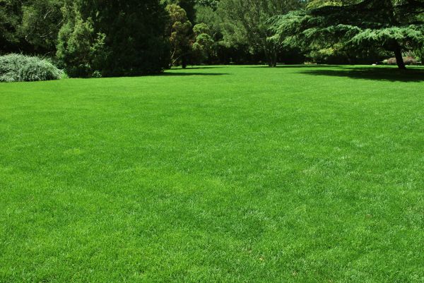 Lawn Landscaping in Oconomowoc