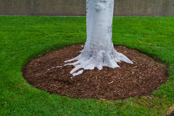Brown Mulch Installation in Oconomowoc