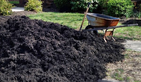 Black Mulch Installation in Oconomowoc