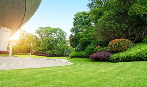 Business Landscape Design in Oconomowoc