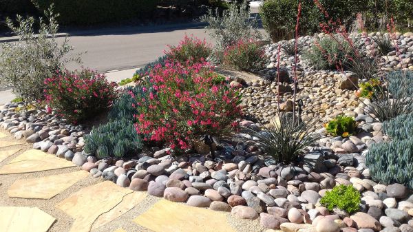 Xeriscape Landscaping in Oconomowoc