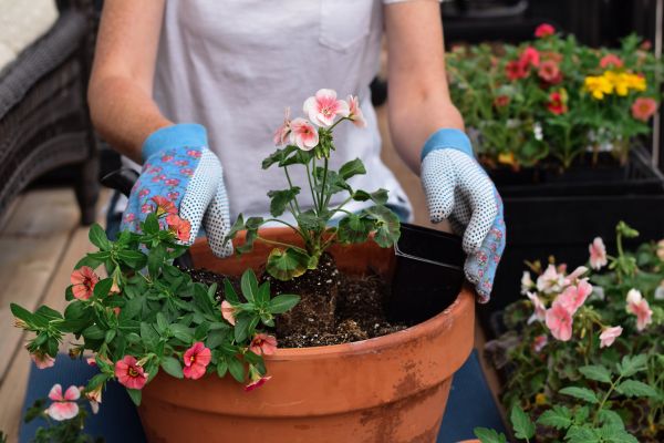 Plant Care Service in Oconomowoc