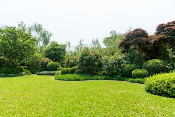Tree Landscaping in Oconomowoc
