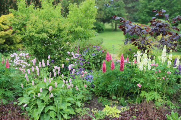 Flower Bed Planting in Oconomowoc