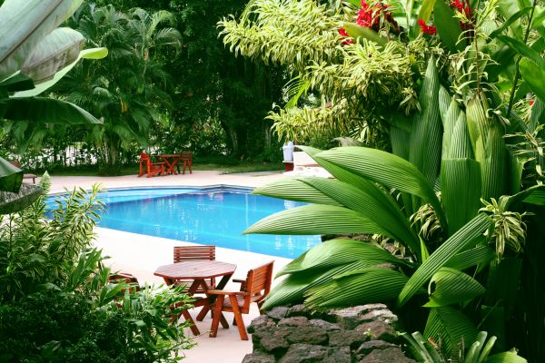 Tropical Garden Landscaping in Oconomowoc