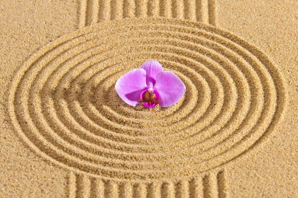 Sand Garden Landscaping in Oconomowoc