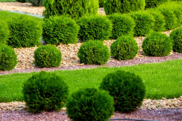 Bush Installation in Oconomowoc