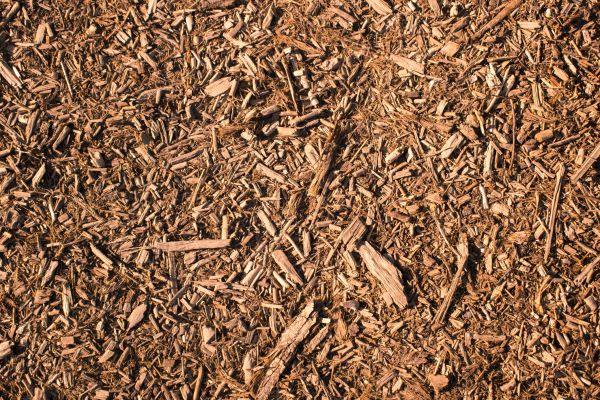 Wood Chips Removal in Oconomowoc