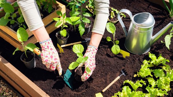 Garden Bed Installation in Oconomowoc