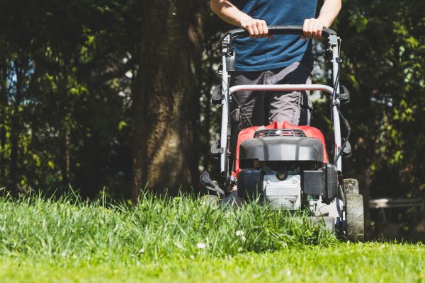 Garden Trimming Service in Oconomowoc