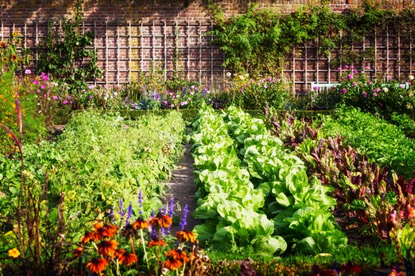 Garden Planting Service in Oconomowoc