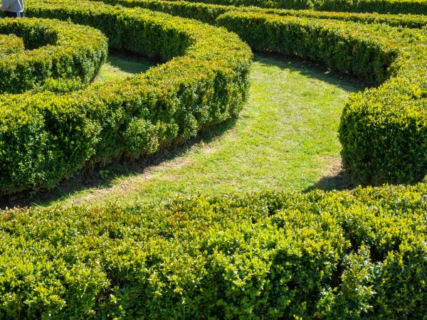 Bush Landscaping in Oconomowoc