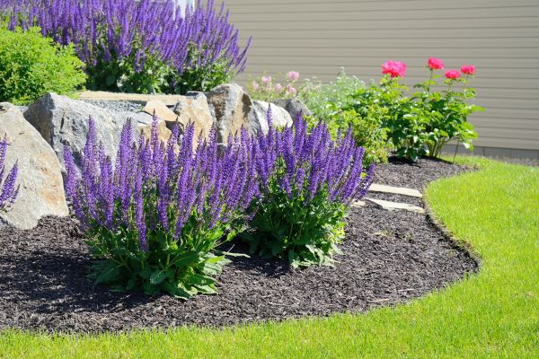 Landscape Planting Service in Oconomowoc