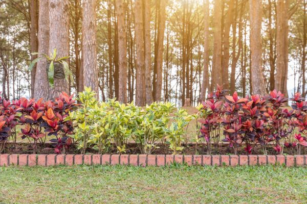 Small Garden Landscaping in Oconomowoc