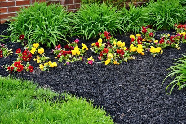 Apartment Mulching in Oconomowoc
