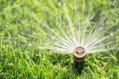 Winterizing a Sprinkler Head